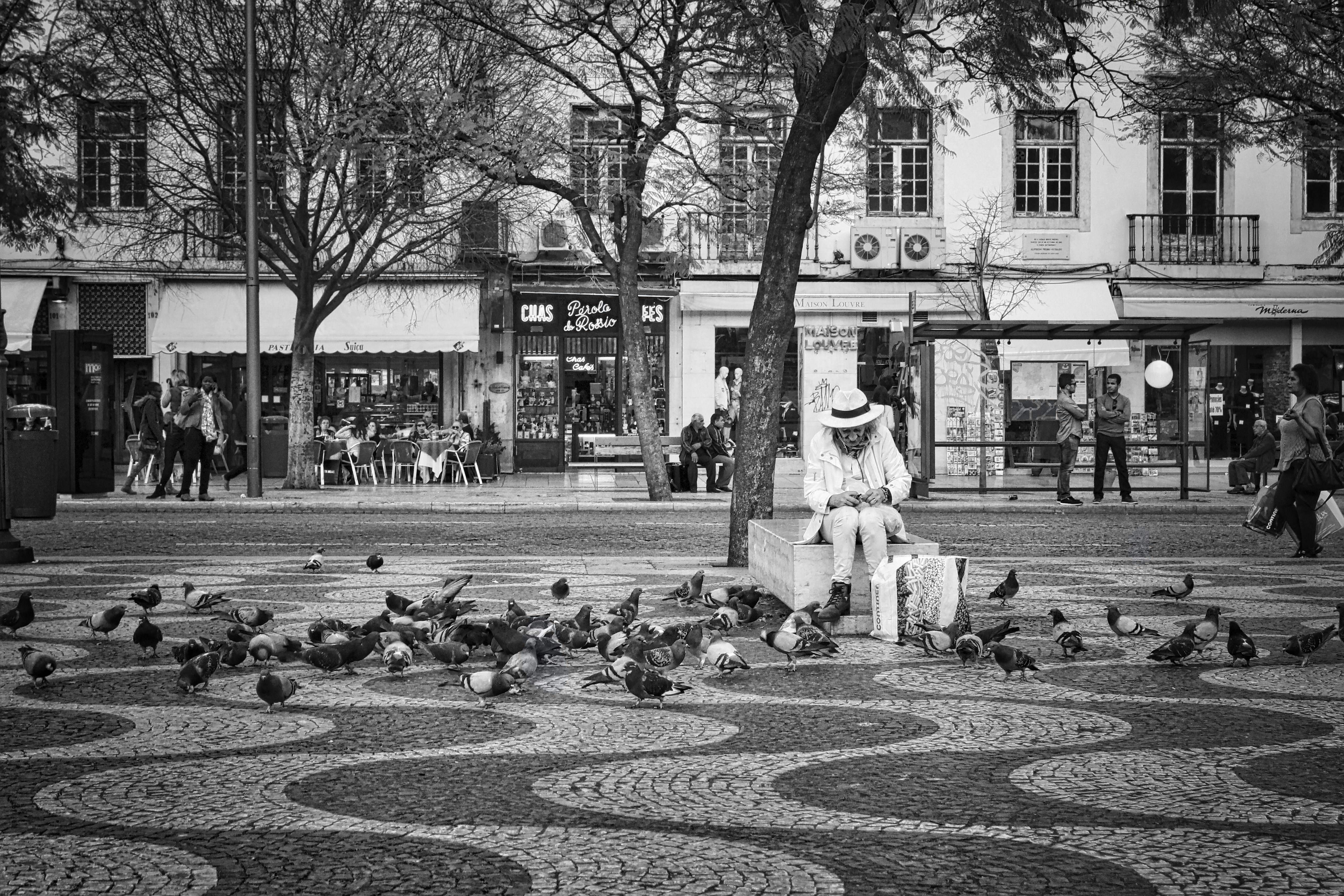 person sitting near tree on part watching bird in grayscale photo